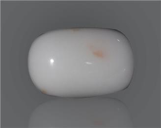 Natural White Coral  11.53 CTS (50182)